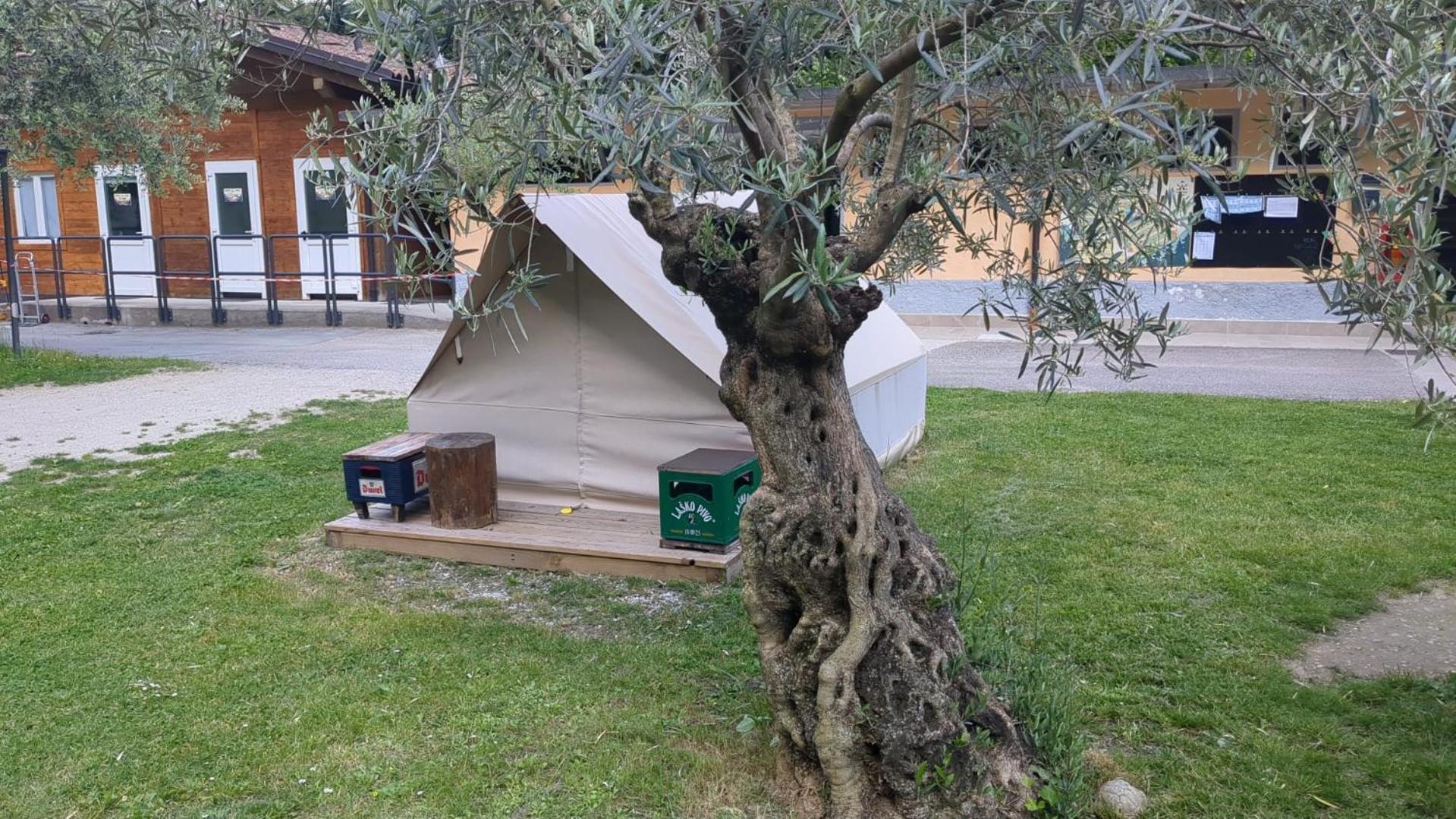 Camping Daino Hotel Pietramurata Exterior photo